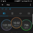 11월19일(일) 런 10k, 수영 이미지