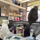 선동물병원 이미지