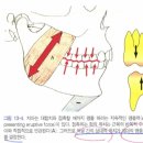 밸런스치과병원 이미지