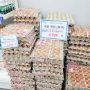 다나은공동생활 | 부산 1인 창업 성공 소도몰 후기