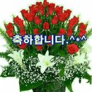 Re: 인천 부천6월 장미 모임에 초대합니다 이미지