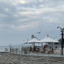 조나단목장 이미지