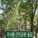 6월18일(목) 상도 국사봉 초록숲길걷기 이미지