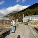 산장찻집(동전고개) | 유후인 료칸 유후사료 연말 이용 후기