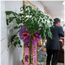대한민국월남전참전자회제주특별자치도지부 | ☆대한민국월남전참전자회 제주지부사무실 이전 현판식 사진☆