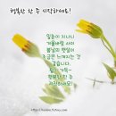 오정동상가 이미지