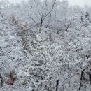 푸른나무한의원 이미지