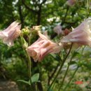 종로-종로-종로-종-110 이미지