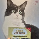 동물보육원 고양이 후원 카페 이미지