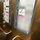 테크노공원로 | 테크노폴리스 뜐뜐이 슬림포크 내돈내산후기