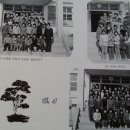 진목초등학교 이미지