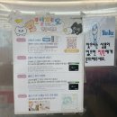 모닝글로리 | {홍대•연남} 대규모 문구&amp;소품샵 :: 모닝글로리 본사직영점 방문후기