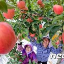 학림농장 이미지