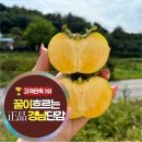 삼시세끼연구소 이미지