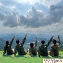 단양패러글라이딩 | 단양 애견동반 패러글라이딩 청춘패러 내돈내산 후기