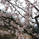 용장골농장 이미지