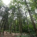경리단길 전주 이미지