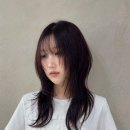준오헤어(양재2) 네이버블로그