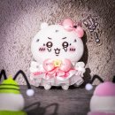 치이카와 마켓 직구 후기(치이카와 파크, 재고품)+짐패스 후기