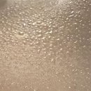 신비의료기 이미지