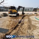 유양초등학교 이미지