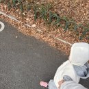 둔산도서관 | 대전 어린이장난감도서관 둔산점｜주말 아침 버스타고 놀이체험실 가기