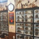 부림생오리 이미지