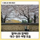 서문팀버 | 할머니와 함께 다녀온 대구·경주 근교 여행 총정리｜가족외식·카페·관광지 모음