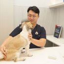 뉴로동물암센터 이미지