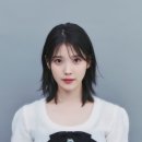 법무법인이담 Daum카페