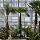 수원-1982 이미지