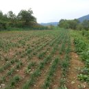 송도로공인중개사사무소 이미지