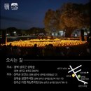 방방곡곡-<그림 읽어주는 여자> 최지인의 갤러리 콘서트 | 경북 성주 성밖숲 산책로 맥문동과 캔들라이트 콘서트
