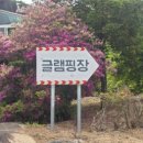 그린관광농원 네이버블로그