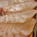 만인식당 | [부산] 만인의 또간집 로컬 맛집 대연동 횟집, <청춘횟집>