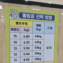 탄천종합운동장 (스포츠센터) 이미지