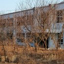 원림초등학교 이미지