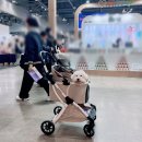독핏코리아 | 2025 메가주 일산 11월 케이펫페어 라인업 펫박람회 일산 펫페어 후기
