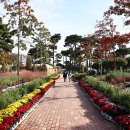 유림-1012 이미지