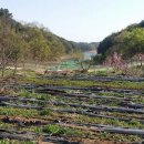 호두부동산공인중개사사무소 이미지