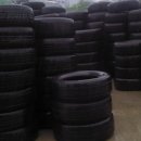 타이어사자 이미지