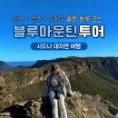 블루마운틴 | 시드니여행 블루마운틴투어 후기 가격 할인