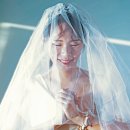 리얼디짐 이미지