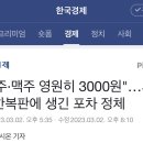 파라삐리포 이미지