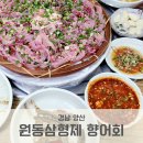 원동삼형제 양산 석산 메기매운탕 꼬들꼬들 향어회 식당맛집