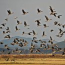 지상낙원 이미지