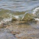 오이도종합어시장 이미지