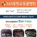 365동판교동물병원 이미지