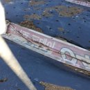 분천농장 이미지