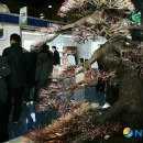 소나무건축인테리어 이미지